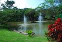 20091022180353-images.jpg